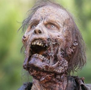 Meet your Posher, Ricky